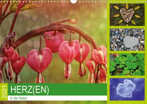 Susan Michel /Ch: Michel /Ch, S: Herz(en) - in der Natur (Wandkalender 2021 DI, Kalender