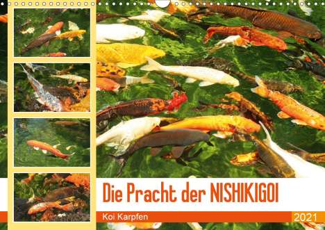 Katrin Lantzsch: Lantzsch, K: Pracht der NISHIKIGOI - Koi Karpfen (Wandkalend, Kalender