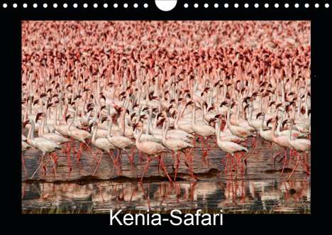 Gert Stephan: Stephan, G: Kenia-Safari (Wandkalender 2021 DIN A4 quer), Kalender