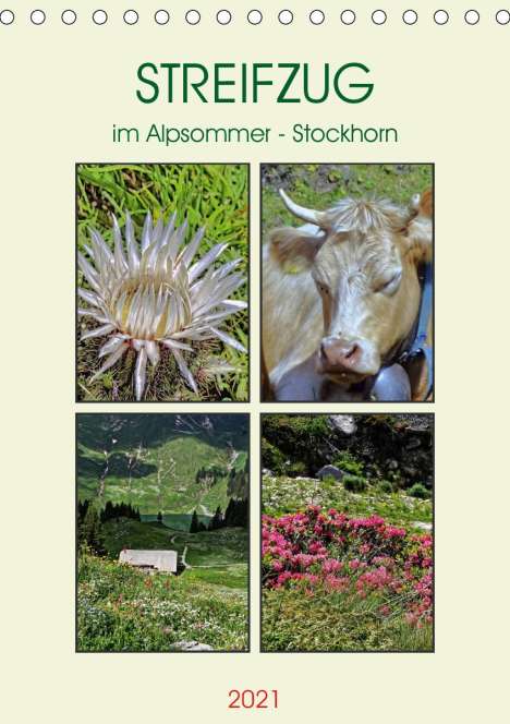 Susan Michel: Michel, S: STREIFZUG im Alpsommer - Stockhorn (Tischkalender, Kalender
