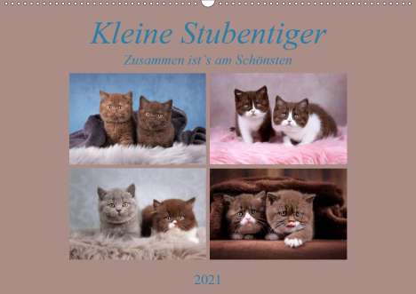 Janina Bürger: Bürger, J: Kleine Stubenstiger (Wandkalender 2021 DIN A2 que, Kalender