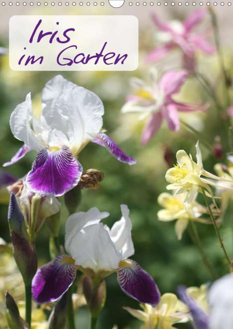 Gisela Kruse: Kruse, G: Iris im Garten (Wandkalender 2021 DIN A3 hoch), Kalender