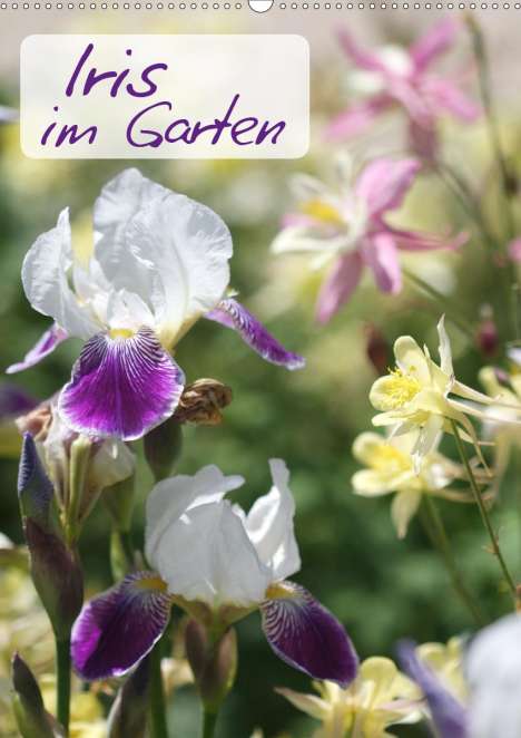 Gisela Kruse: Kruse, G: Iris im Garten (Wandkalender 2021 DIN A2 hoch), Kalender