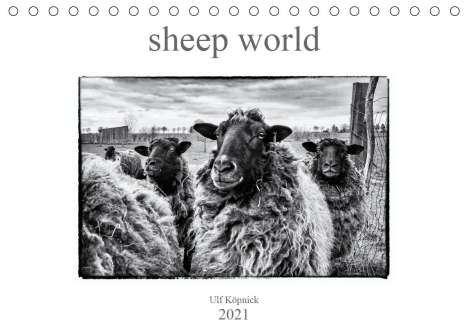 Ulf Köpnick: Köpnick, U: sheep world (Tischkalender 2021 DIN A5 quer), Kalender