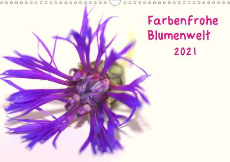 Kevin Andreas Lederle: Andreas Lederle, K: Farbenfrohe Blumenwelt (Wandkalender 202, Kalender
