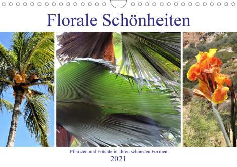 By Denkmayrs: Denkmayrs, B: Florale Schönheiten - Pflanzen und Früchte in, Kalender