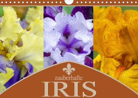 Steffen Gierok: Gierok, S: Zauberhafte Iris (Wandkalender 2021 DIN A4 quer), Kalender