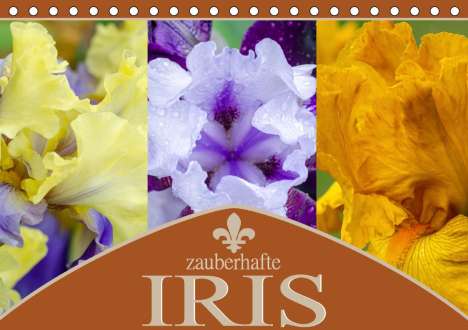 Steffen Gierok: Gierok, S: Zauberhafte Iris (Tischkalender 2021 DIN A5 quer), Kalender