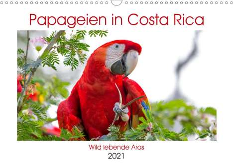 K. A. Akrema-Photography: Akrema-Photography, K: Papageien in Costa Rica (Wandkalender, Kalender