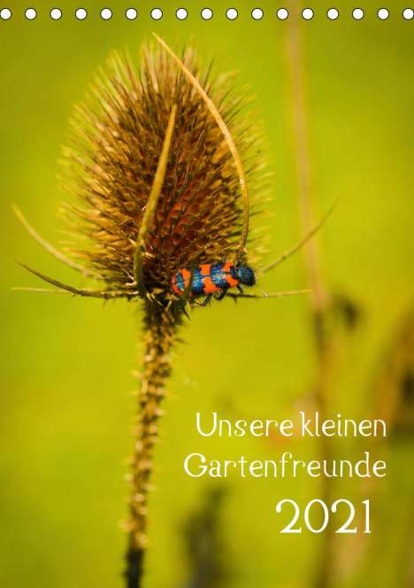 k. A. Gartenchaosliebe: Gartenchaosliebe, k: Unsere kleinen Gartenfreunde (Tischkale, Kalender