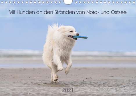Monika Scheurer: Scheurer, M: Mit Hunden an den Stränden von Nord- und Ostsee, Kalender