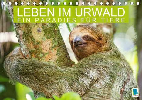K. A. Calvendo: Calvendo, K: Leben im Urwald: ein Paradies für Tiere (Tischk, Kalender