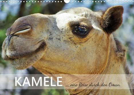 Sabine Reining: Reining, S: KAMELE... eine Reise durch den Oman. (Wandkalend, Kalender