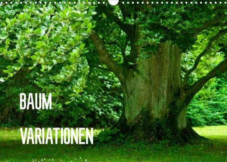 Joachim Barig: Barig, J: Baum-Variationen (Wandkalender 2022 DIN A3 quer), Kalender