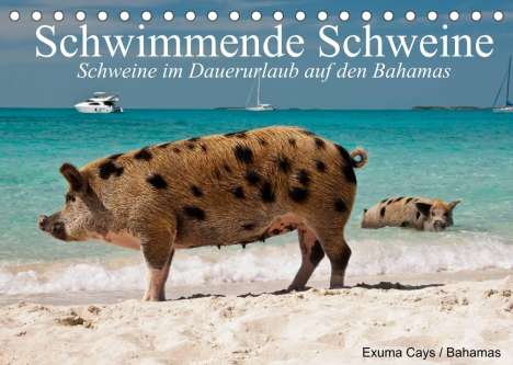 Elisabeth Stanzer: Stanzer, E: Schwimmende Schweine (Tischkalender 2022 DIN A5, Kalender