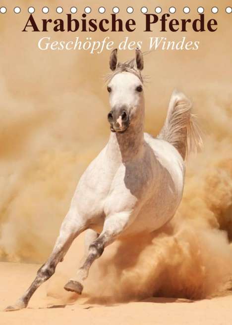 Elisabeth Stanzer: Stanzer, E: Arabische Pferde . Geschöpfe des Windes (Tischka, Kalender