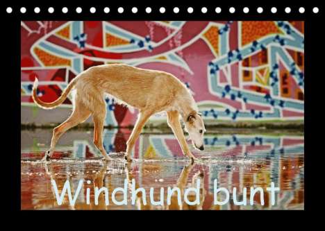 Kathrin Köntopp: Köntopp, K: Windhund bunt (Tischkalender 2022 DIN A5 quer), Kalender
