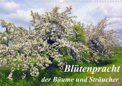 Lothar Reupert: Reupert, L: Blütezeit der Bäume und Sträucher (Wandkalender, Kalender