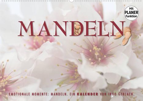 Ingo Gerlach: Gerlach, I: Emotionale Momente: Mandeln (Wandkalender 2022 D, Kalender