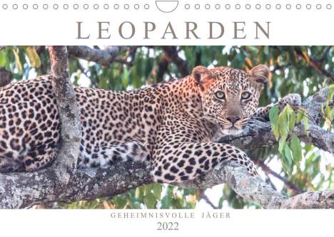 Andreas Lippmann: Lippmann, A: Leoparden - Geheimnisvolle Jäger (Wandkalender, Kalender