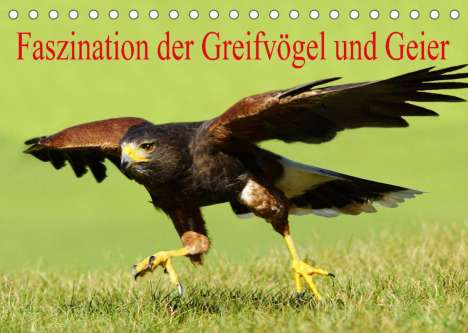 Erika Müller: Müller, E: Faszination der Greifvögel und Geier (Tischkalend, Kalender