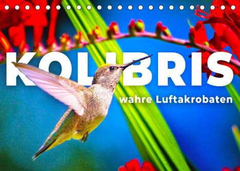Sf: Sf: Kolibris - wahre Luftakrobaten (Tischkalender 2022 DIN A, Kalender