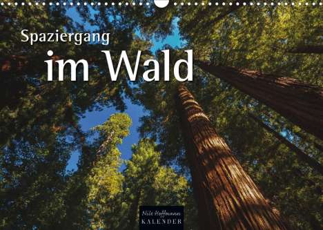 Nils Hoffmann: Hoffmann, N: Spaziergang im Wald (Wandkalender 2022 DIN A3 q, Kalender