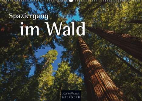 Nils Hoffmann: Hoffmann, N: Spaziergang im Wald (Wandkalender 2022 DIN A2 q, Kalender