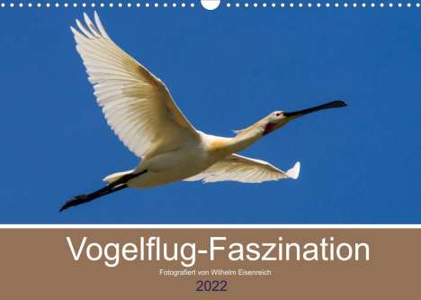 Wilhelm Eisenreich: Eisenreich, W: Vogelflug-Faszination (Wandkalender 2022 DIN, Kalender