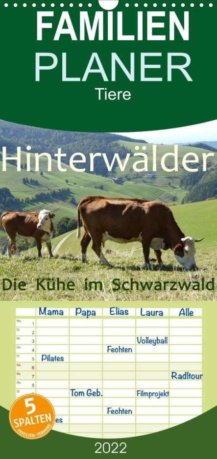 Stefanie Goldscheider: Goldscheider, S: Hinterwälder - Die Kühe aus dem Schwarzwald, Kalender