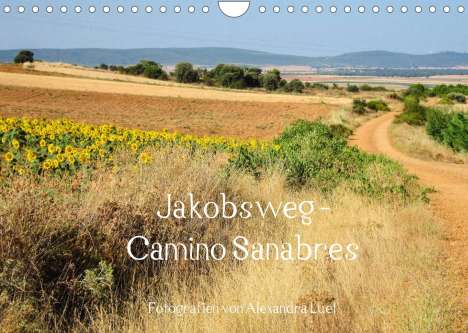 Alexandra Luef: Luef, A: Jakobsweg - Camino Sanabres (Wandkalender 2022 DIN, Kalender