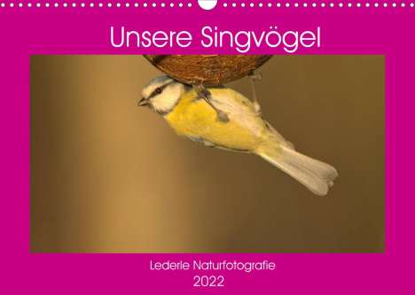 Kevin Andreas Lederle: Andreas Lederle, K: Unsere Singvögel (Wandkalender 2022 DIN, Kalender