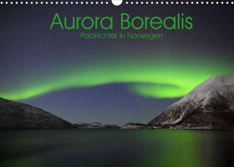 Elmar Weiss: Weiss, E: Aurora Borealis: Polarlichter in Norwegen (Wandkal, Kalender