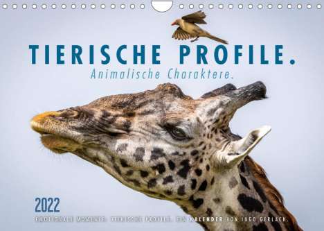Ingo Gerlach: Gerlach, I: Tierische Profile (Wandkalender 2022 DIN A4 quer, Kalender