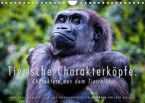 Ingo Gerlach: Gerlach, I: Tierische Charakterköpfe (Wandkalender 2022 DIN, Kalender