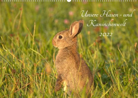 Kevin Andreas Lederle: Andreas Lederle, K: Unsere Hasen - und Kaninchenwelt (Wandka, Kalender