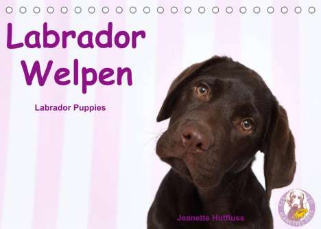Jeanette Hutfluss: Hutfluss, J: Labrador Welpen - Labrador Puppies (Tischkalend, Kalender
