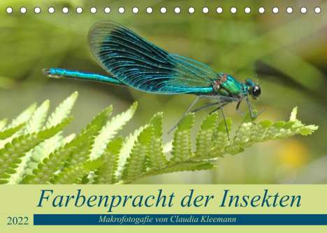 Claudia Kleemann: Kleemann, C: Farbenpracht der Insekten (Tischkalender 2022 D, Kalender