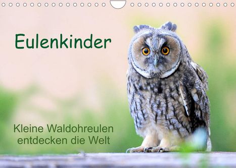 Carolin Müller: Müller, C: Eulenkinder - Kleine Waldohreulen entdecken die W, Kalender