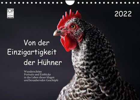 Birte Peters: Peters, B: Von der Einzigartigkeit der Hühner 2022 (Wandkale, Kalender