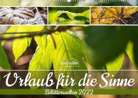 Kevin Walther: Walther, K: Urlaub für die Sinne - Blätterwelten (Wandkalend, Kalender