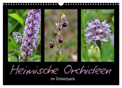Sabine Löwer: Heimische Orchideen im Dreierpack (Wandkalender 2024 DIN A3 quer), CALVENDO Monatskalender, Kalender