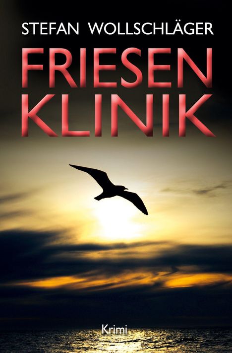 Stefan Wollschläger, Friesenklinik, Krimi. Silhouette einer Möwe vor einem bewölkten Sonnenuntergang über dem Meer.