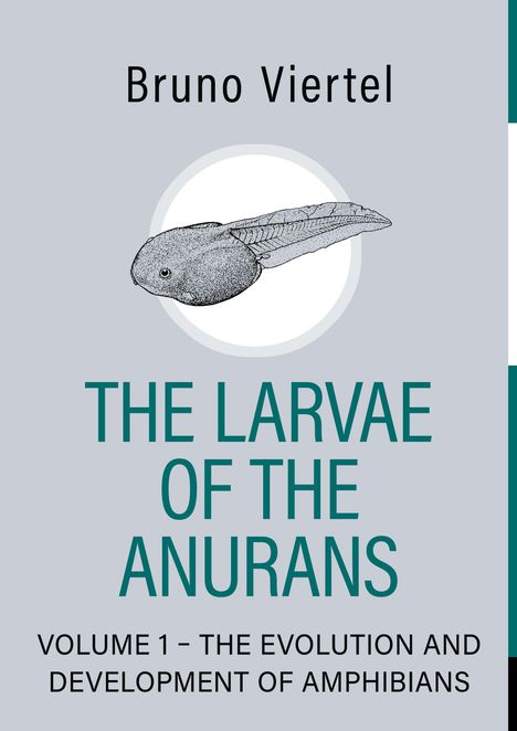 "Bruno Viertel. THE LARVAE OF THE ANURANS. VOLUME 1 - THE EVOLUTION AND DEVELOPMENT OF AMPHIBIANS." Zeichnung einer Kaulquappe.