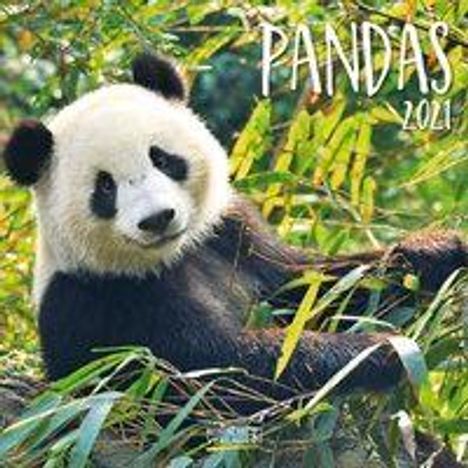 Pandas 2021, Kalender