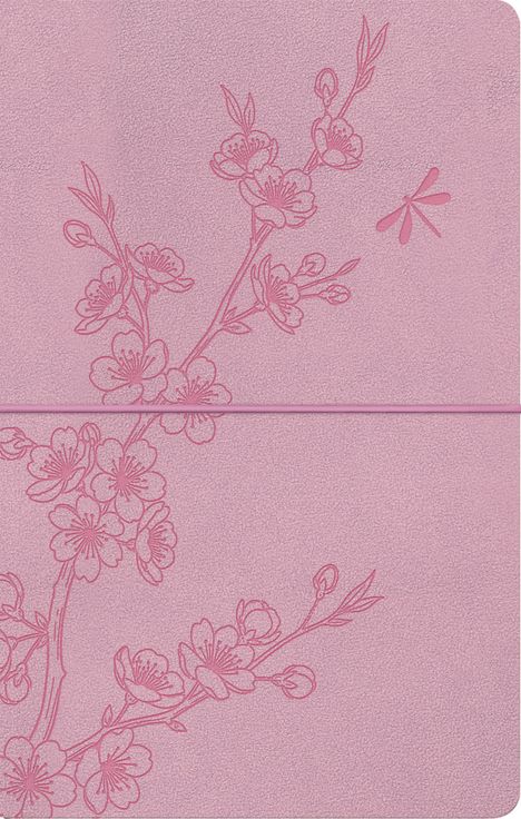 Eine minimalistische Illustration zeigt rosa Kirschblütenzweige auf strukturierter Fläche. Rechts ist eine Libelle zu sehen.