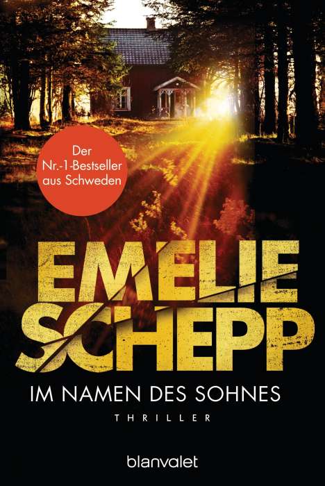 Emelie Schepp: Im Namen des Sohnes, Buch