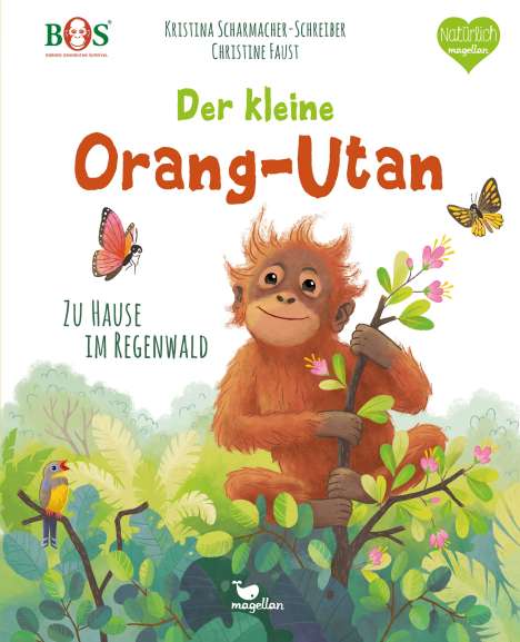Kristina Scharmacher-Schreiber: Der kleine Orang-Utan - Zu Hause im Regenwald, Buch