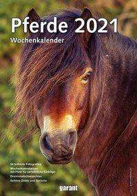 Pferde 2021 Wochenkalender, Kalender