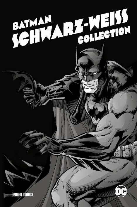 Ted Mckeever: Batman: Schwarz-Weiß Collection (Deluxe Edition), Buch
